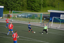 stall2012ogmidsund 077